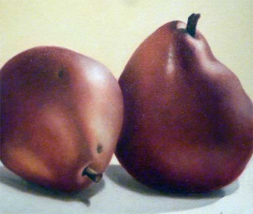 Two Red Pears
