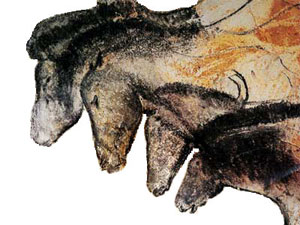 Images of horses from the Chauvet Caves