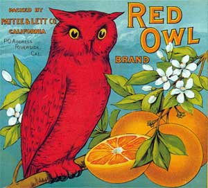 Red Owl Oranges