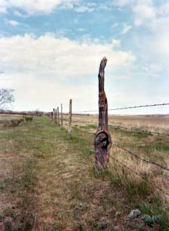 Fenceposts