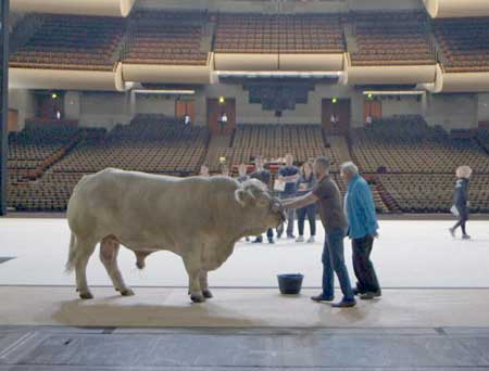 Rehearsing the live bull for 'Moses and Aron' from 'The Paris Opera'