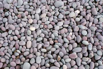 Pebbles with Quarzite